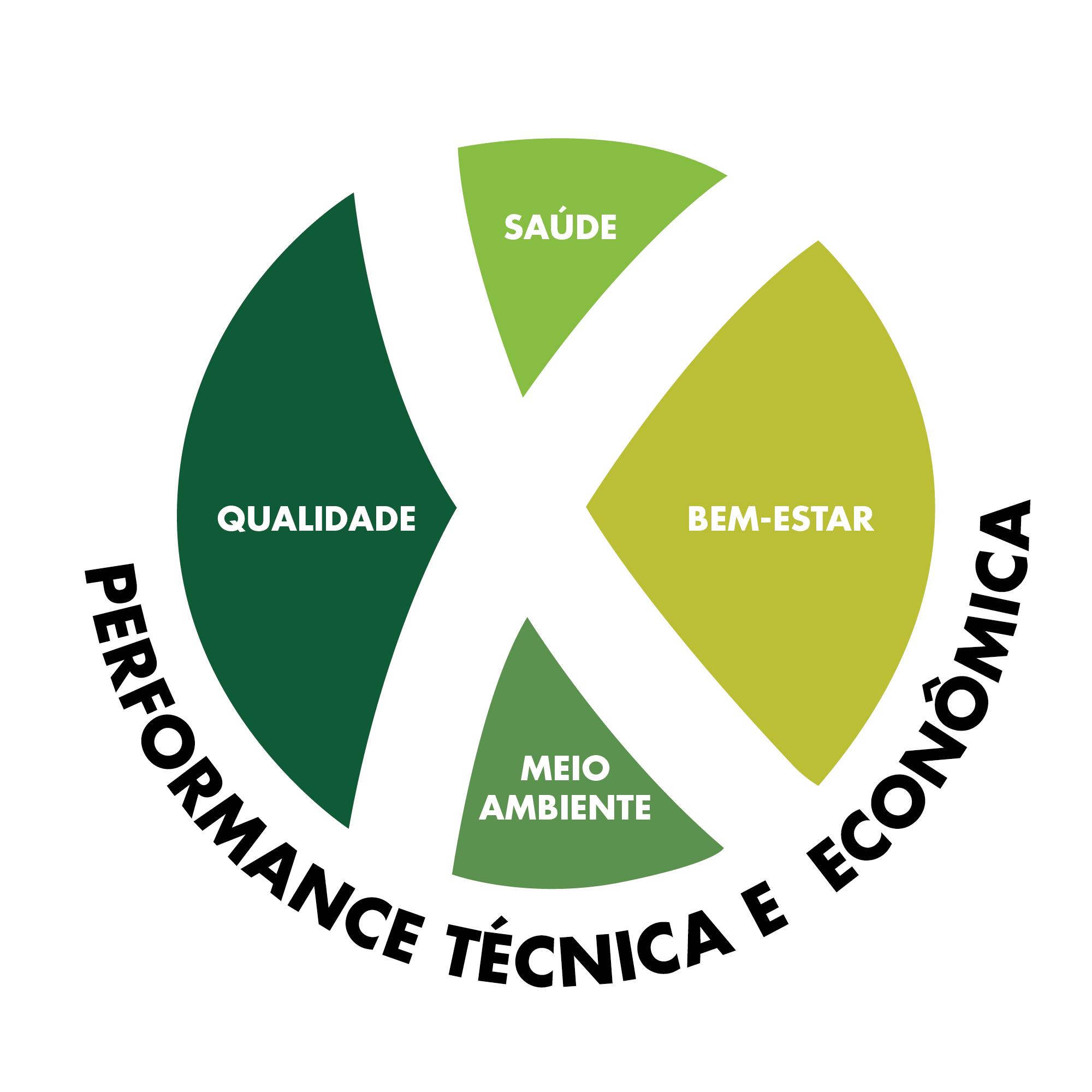 Logo com divisões em cores